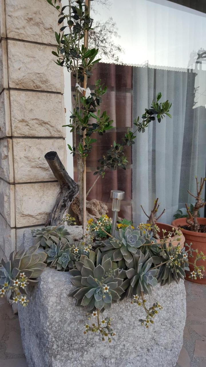 Apartmani Antunovic Podgora Esterno foto